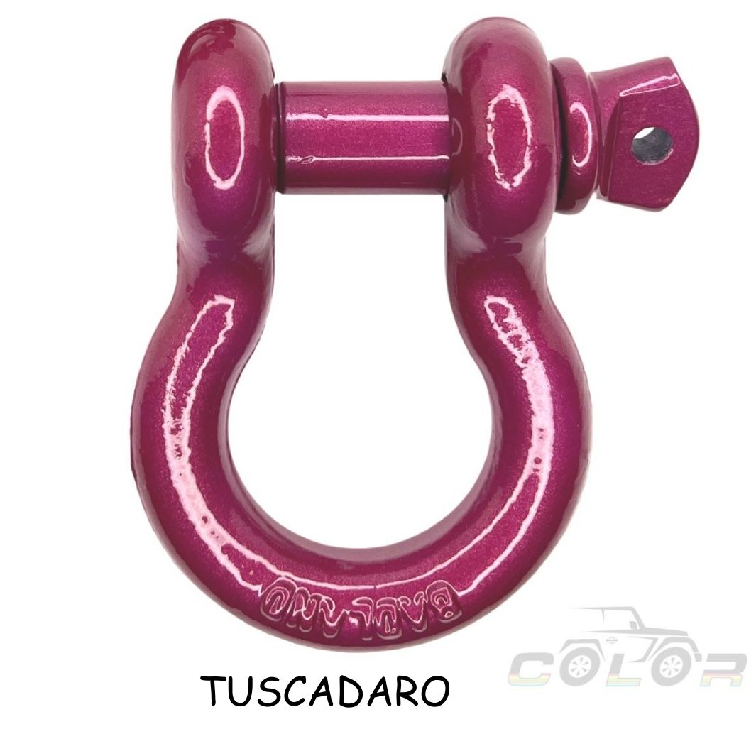 All Model D Ring Shackle 3/4 With Isolator Single