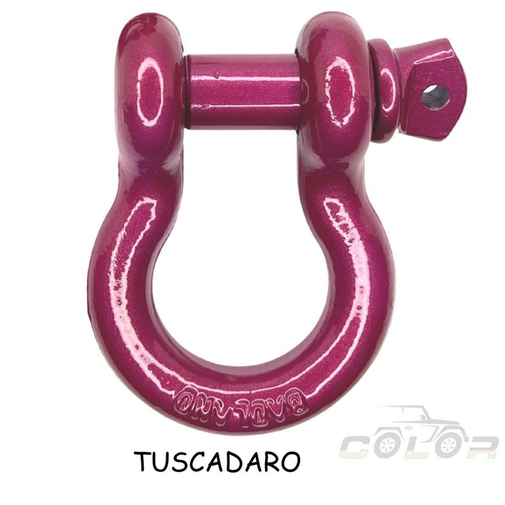 All Model D Ring Shackle 3/4 With Isolator Single