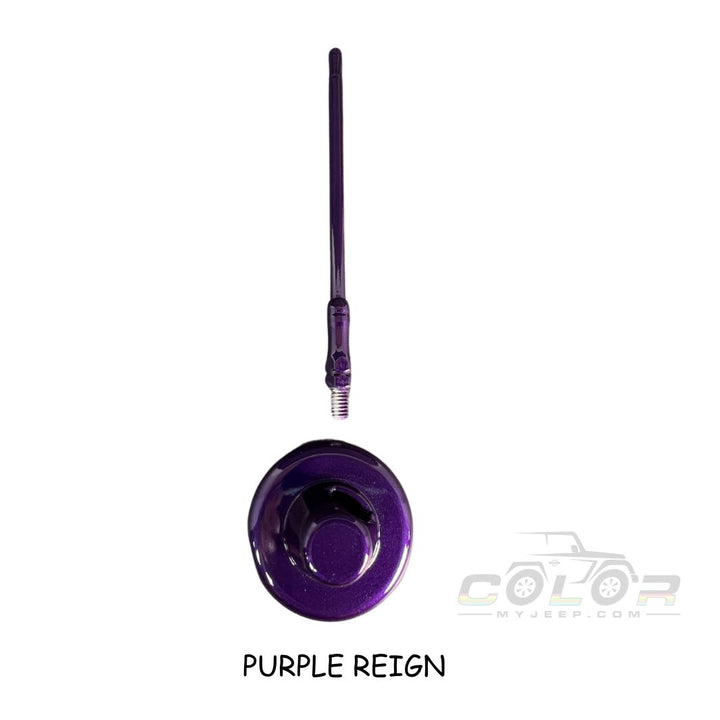 All Model Antenna and Antenna Mount Cover Trim